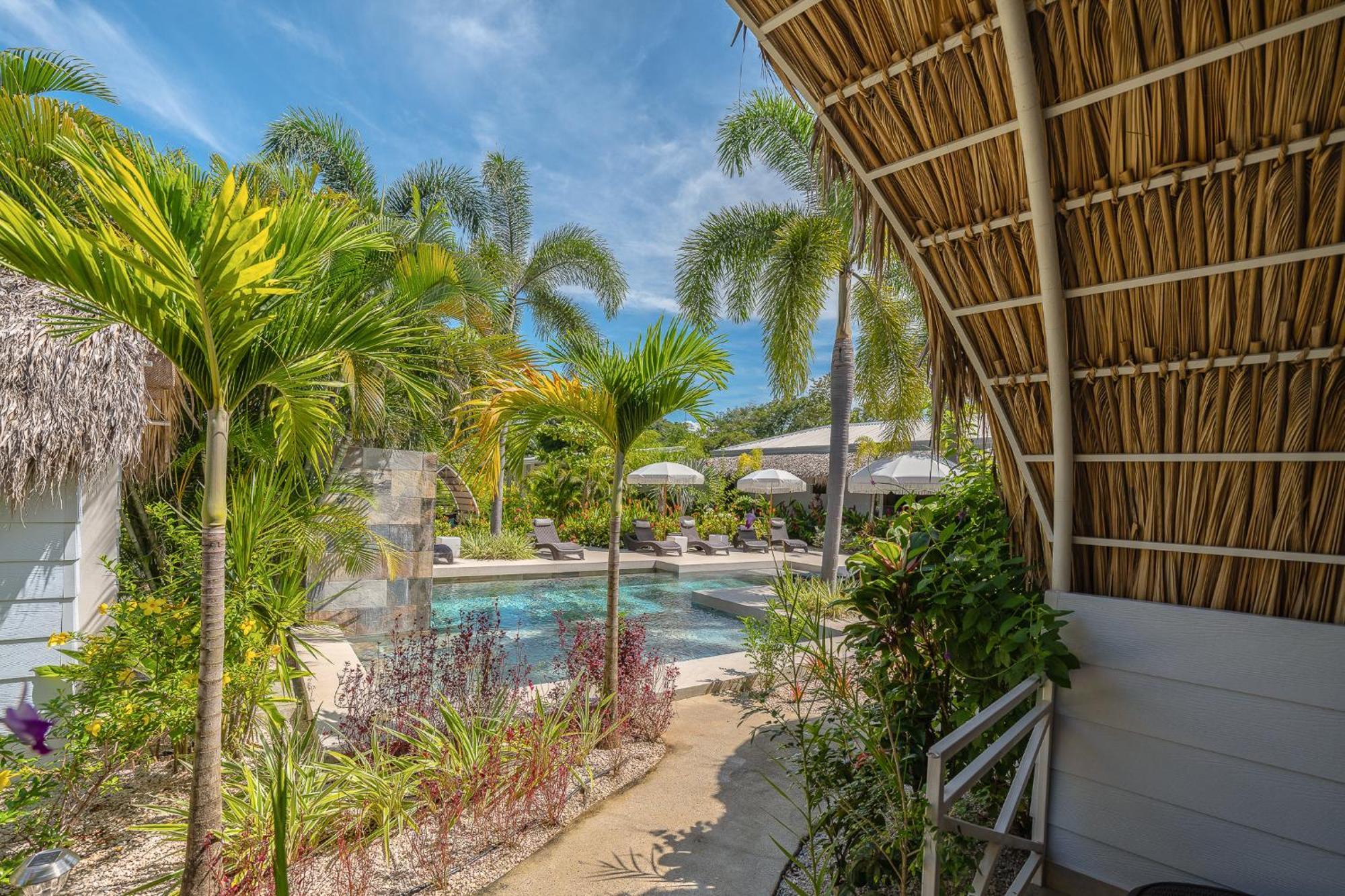 Les Voiles Blanches - Luxury Lodge Tamarindo Rom bilde